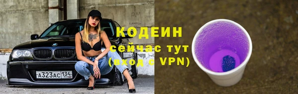мет Елизово