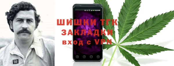 мет Елизово