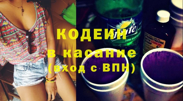 мет Елизово