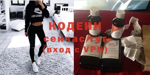 a pvp Ельня