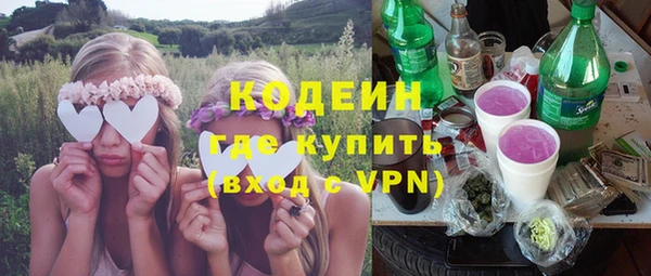 a pvp Ельня