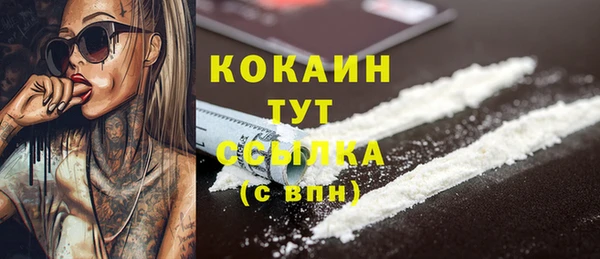 a pvp Ельня