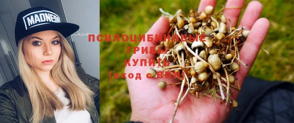 мет Елизово